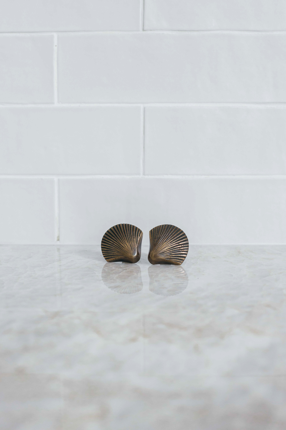 Clam Shell Drawer Pulls, set of 2 Kyal & Kara Kyal & Kara